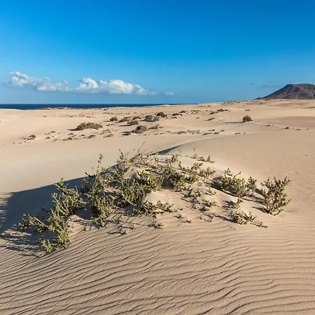 Home2book Cozy With Pool & Gym, Corralejo * La Oliva